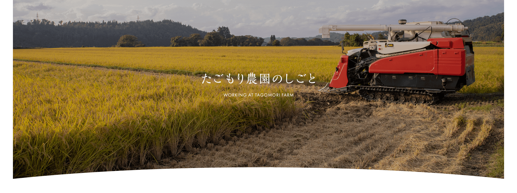 たごもり農園のしごと