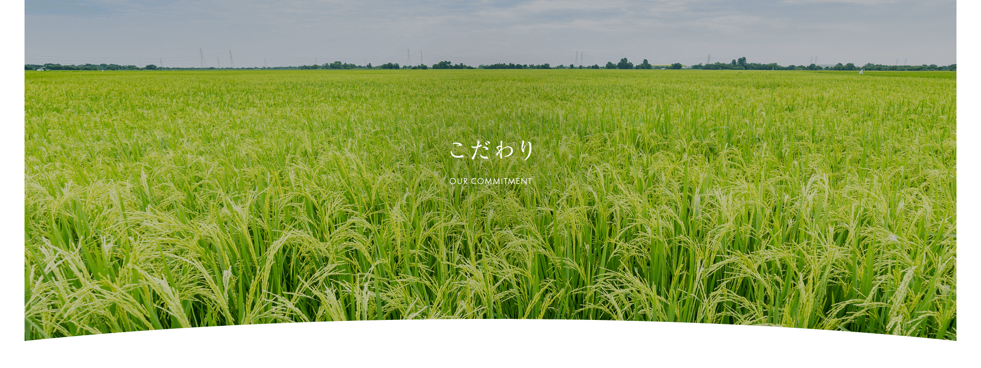 こだわり