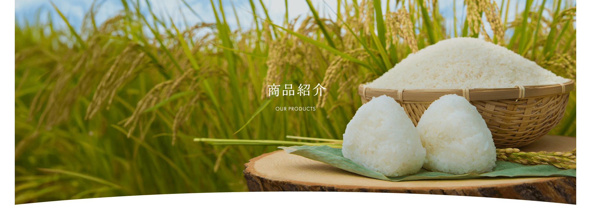 商品紹介