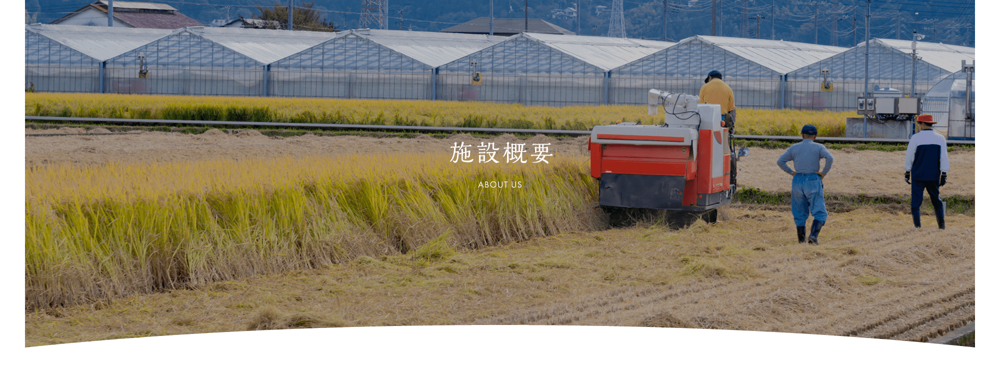 施設概要
